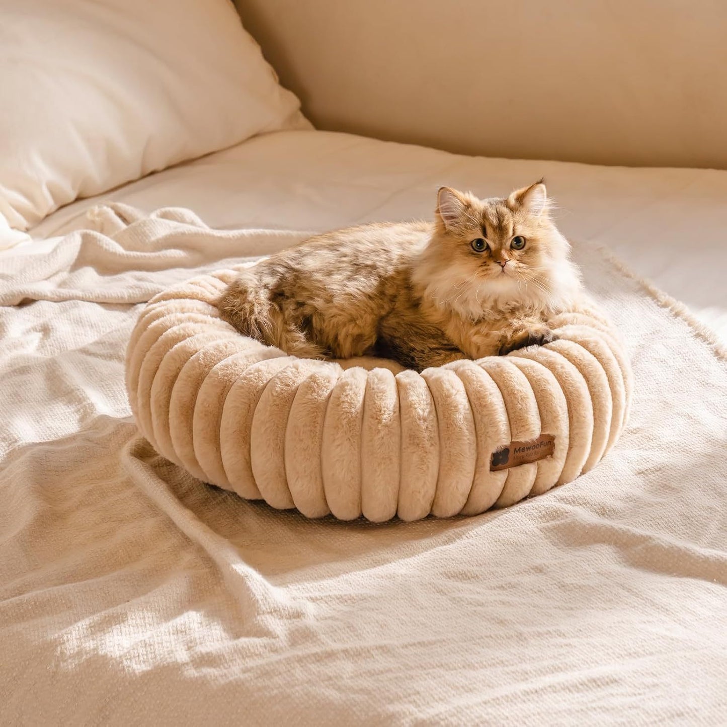 Cat Bed