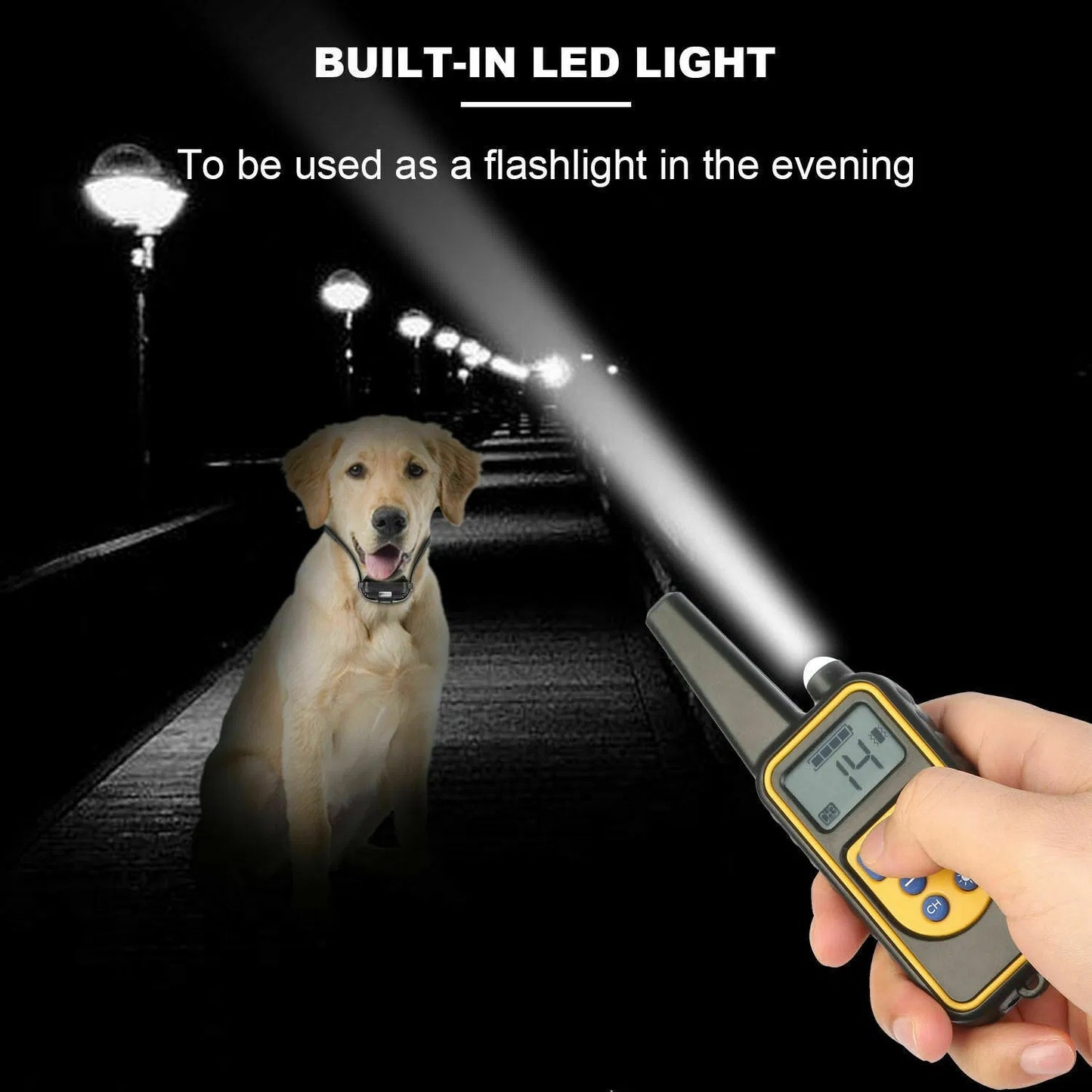 3000 FT Dog Training