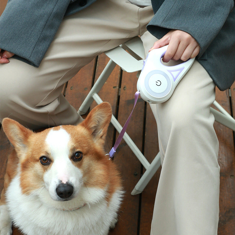 Spotlight Retractable Leash