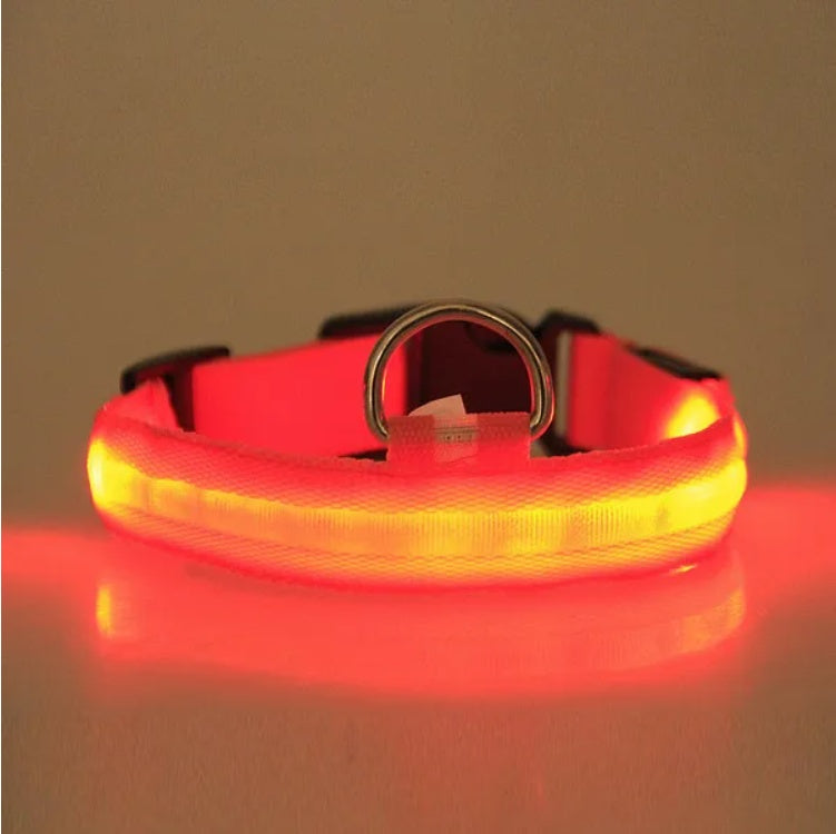 LED PET
