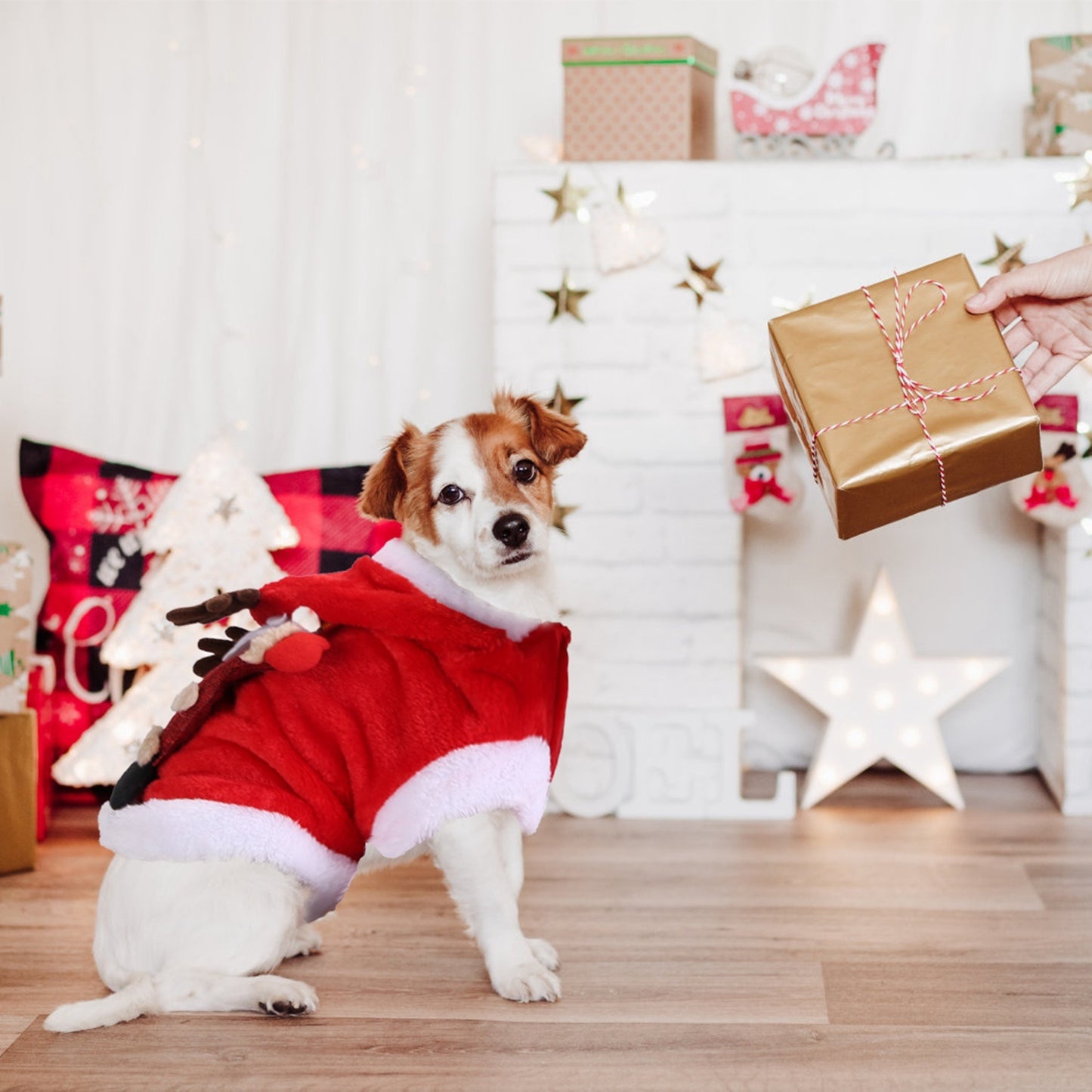 1Pc Pet Christmas Clothes
