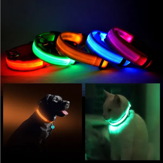 LED PET