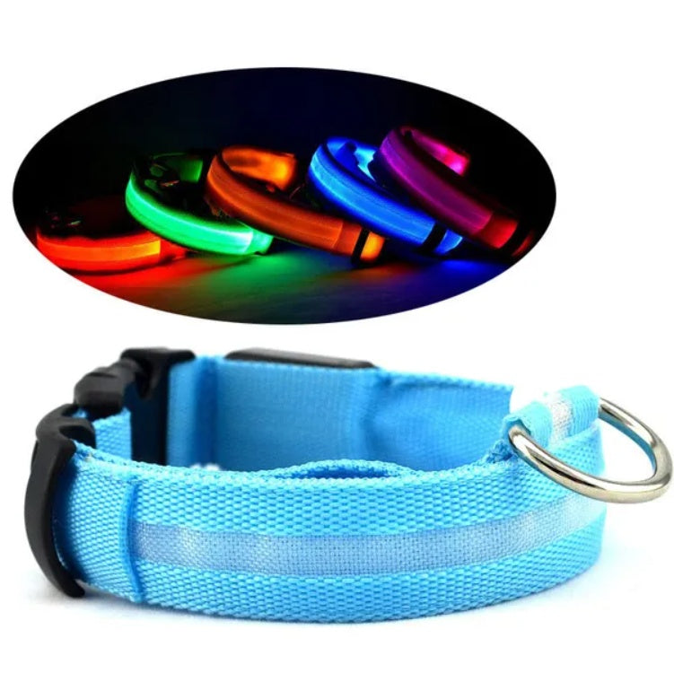 LED PET