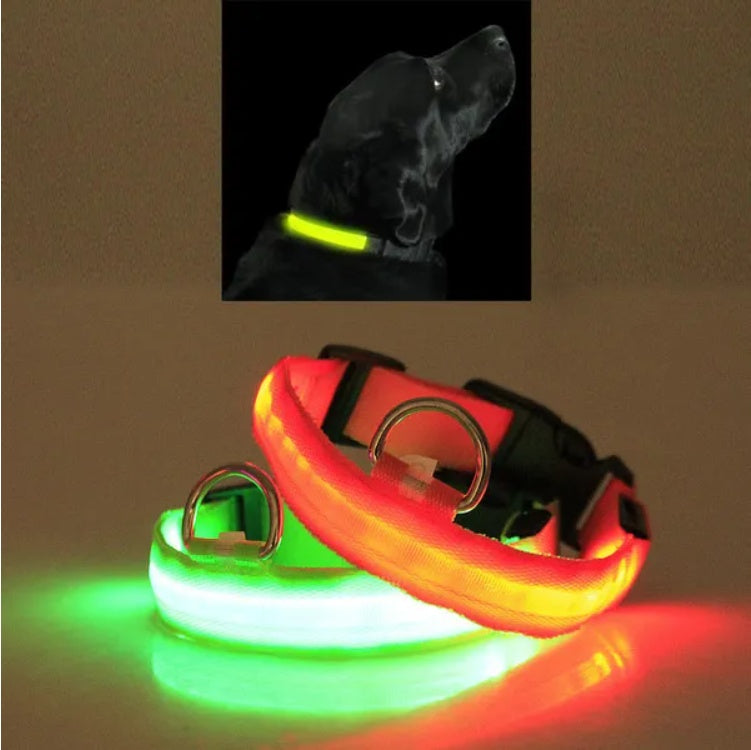 LED PET