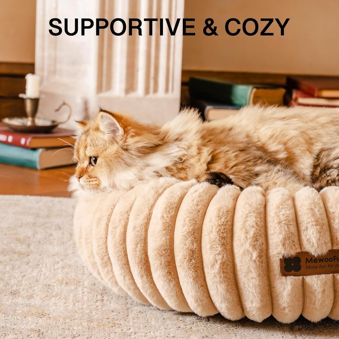 Cat Bed