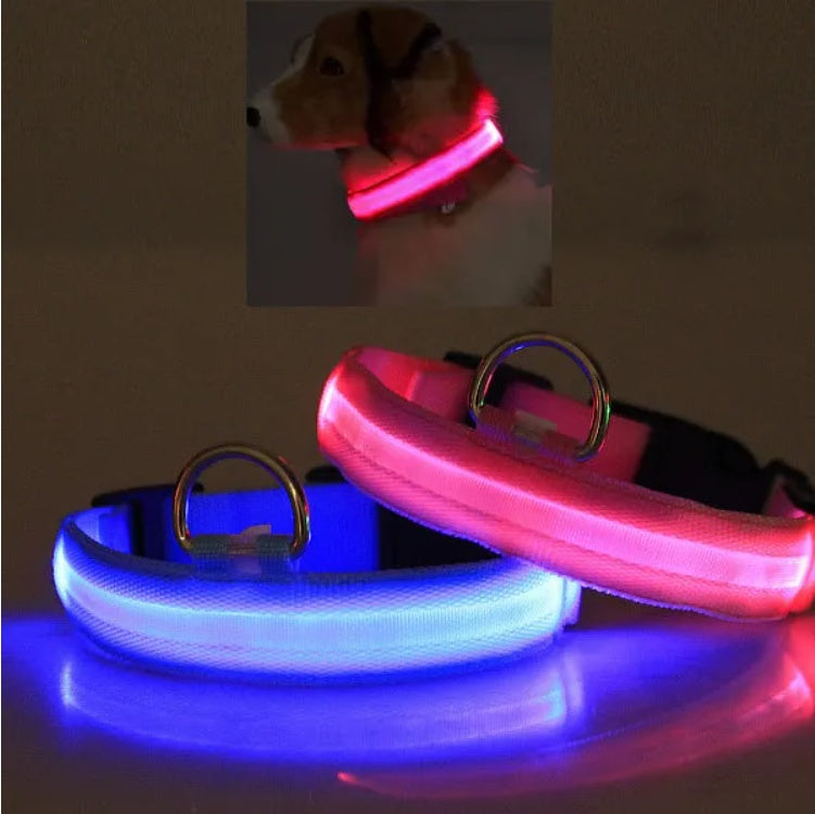 LED PET