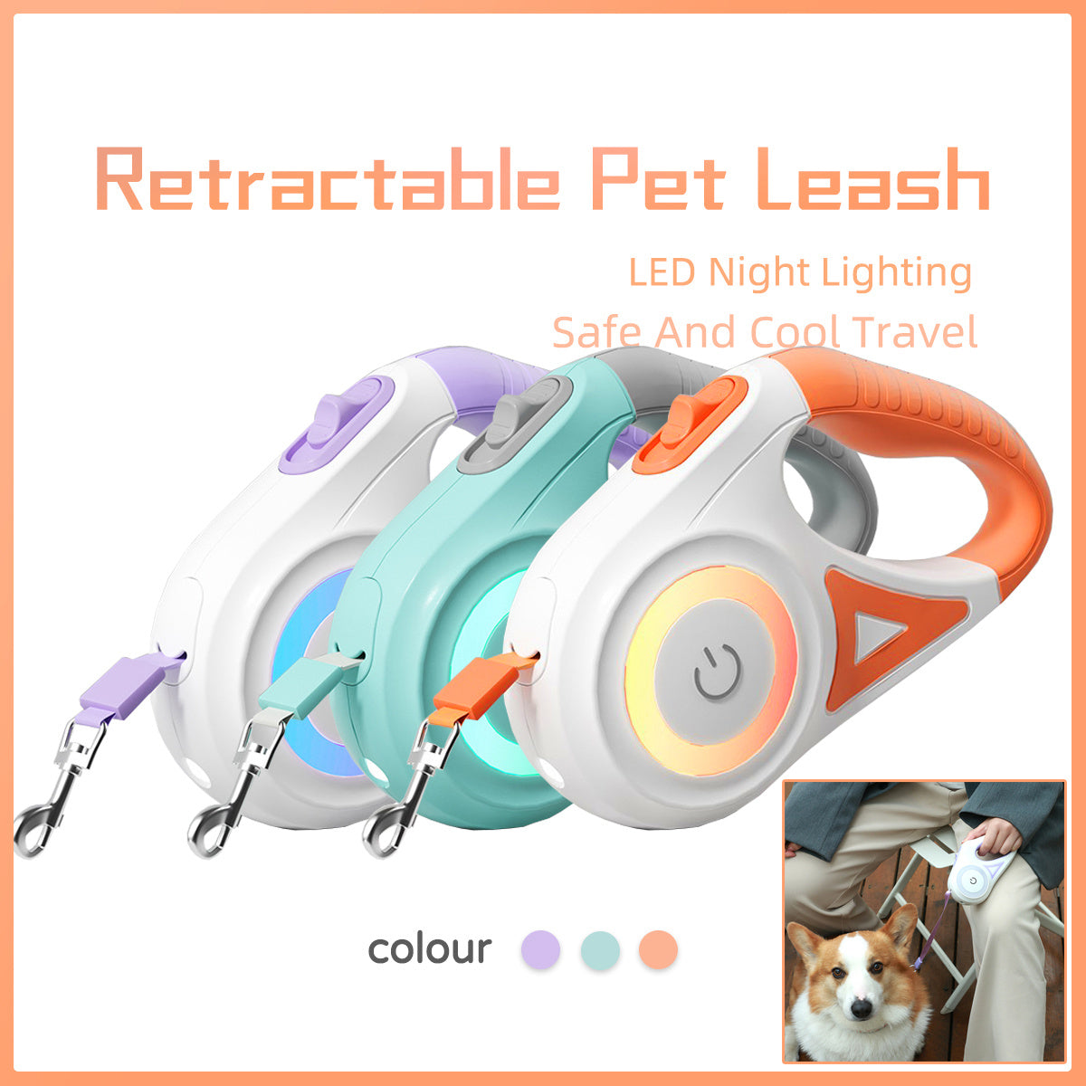 Spotlight Retractable Leash