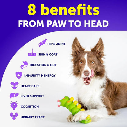 Dog Multivitamin