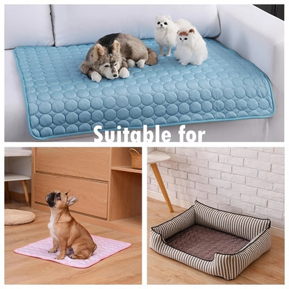 Pee Pads dog