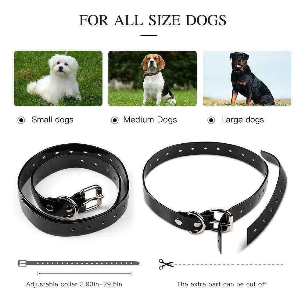 3000 FT Dog Training