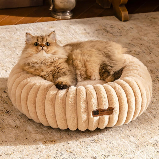 Cat Bed