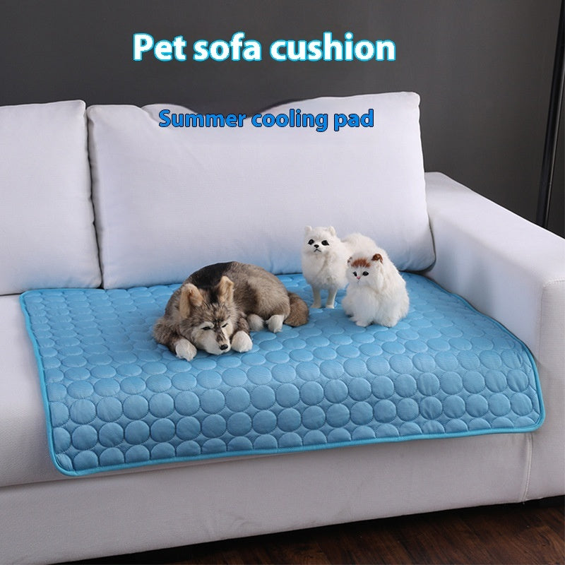 Pee Pads dog