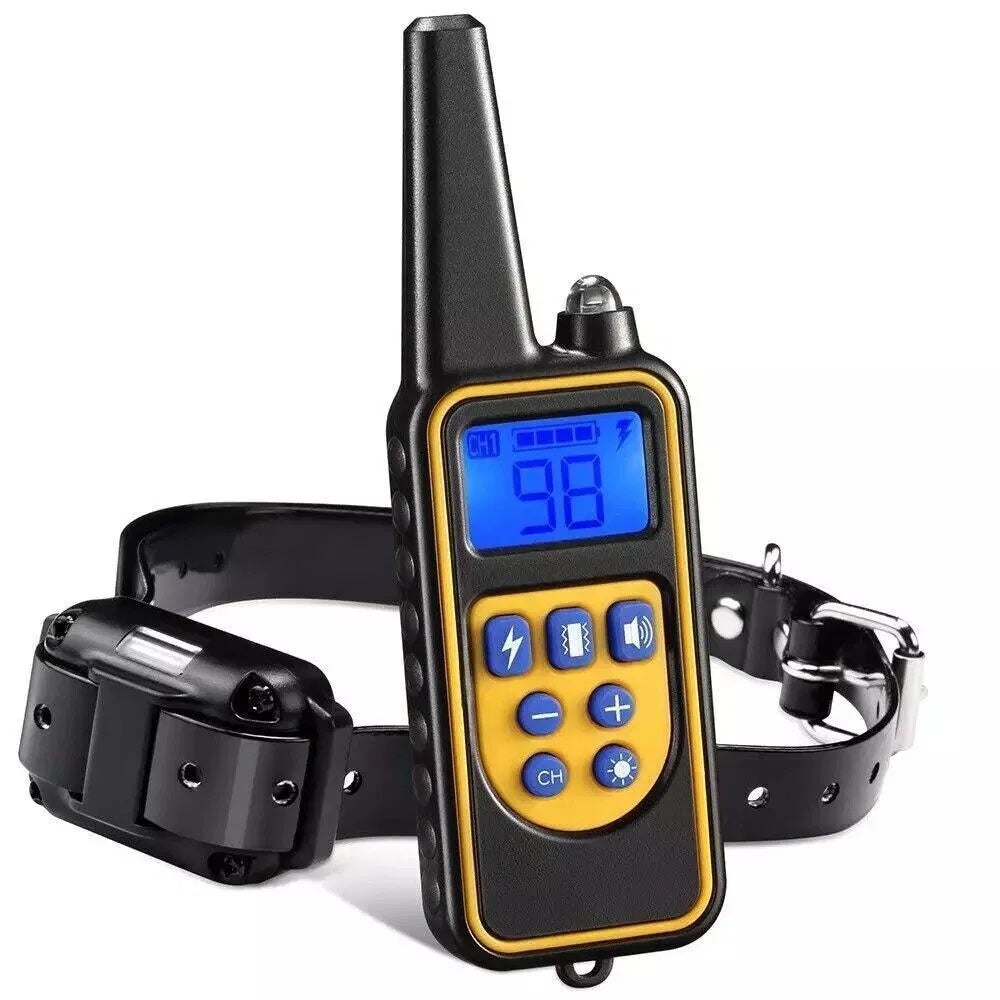 3000 FT Dog Training