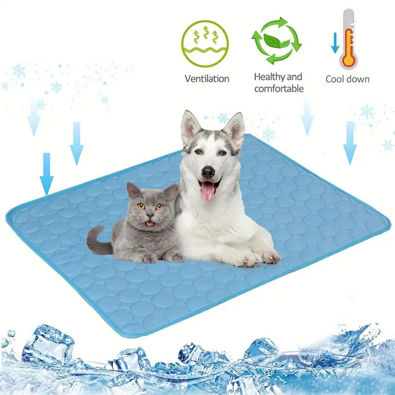 Pee Pads dog