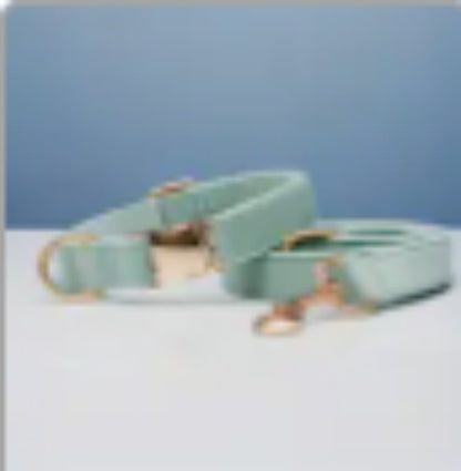 Multiple Colour Velvet Personalise Dog Collar Leash Set With Bow